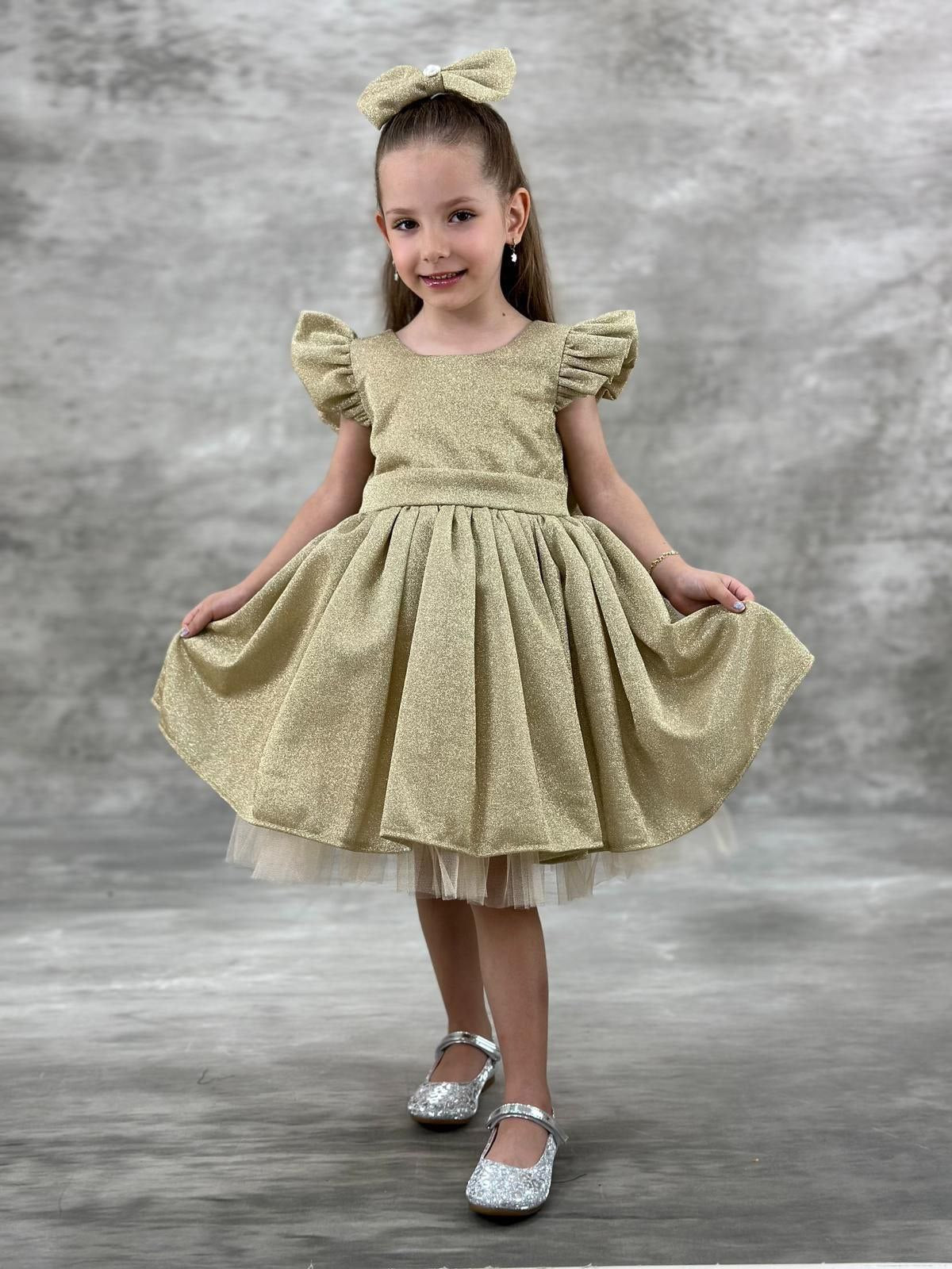 Dazzling and Beautiful Dress Toddler